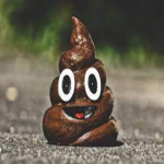 Googly Eye Poop Studios