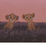 •{royal.high.cats•}