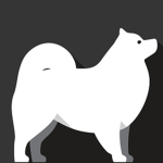 MySamoyedFanClub