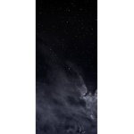 Starry wolf