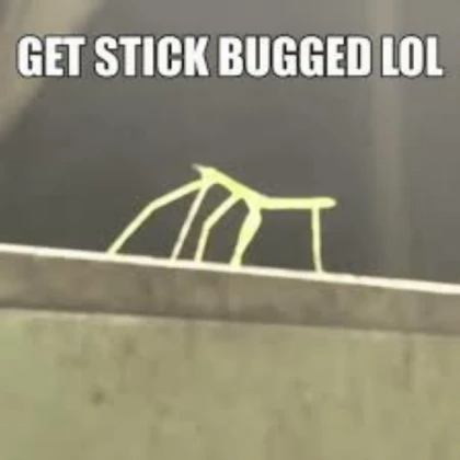 get stick bugged lol