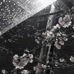 ♡ .ᐟ icon