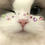いちごのお部屋