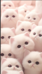 join this group if u love cats!!!