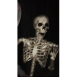 ᴛʀᴏᴘɪᴄᴀʟ ᴇᴍᴍʏ