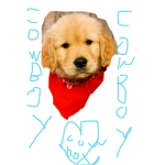 puppy daily time