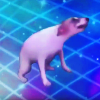 dance until your dead