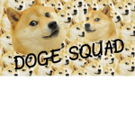 TheDogeGamersSquad
