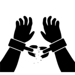 The Freed