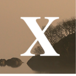 X