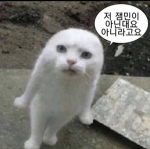 백골부대 [공식그룹]