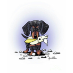 ~Team Dachshund~