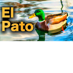 patitos los mejores .