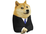DOGE ASSOClATION