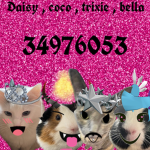 daisy , coco , trixie , bella