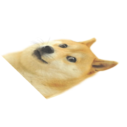 🏆 Doge Spawn Point Spawner Zombie