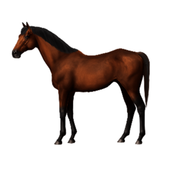 Epic Horse Game