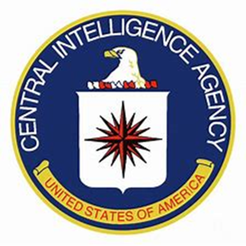 Central Intelligence Agency Roleplay