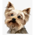 Yorkie Yawn Fan Group