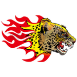 CHEETAH FIRE