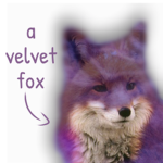 Velvet Fox