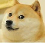The Doge Ranks
