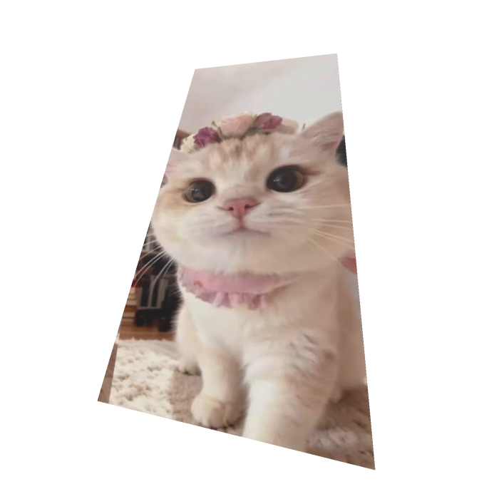 Cute Princess Cat cats4all