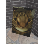 the chomps