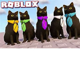 Club Kat!
