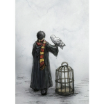 Team harrypotter