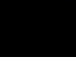 black bros
