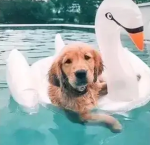 WET PUPPY GROUP~ staff