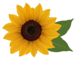 ~•Sunflower•Squad•~
