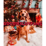 AdorbxLuvFans