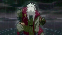 A Shinobi's Story