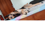 Sxmply ariana