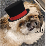 top hat hangout