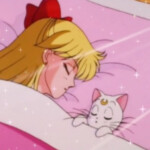  𝒊𝒔 𝒕𝒉𝒆