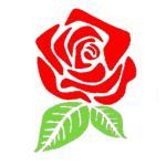 Rose Bus & Coach