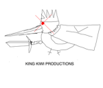 King Kiwi Productions