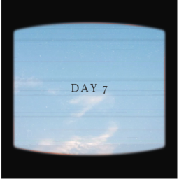 DAY 7