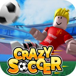 ⚽️Crazy Soccer⚽️