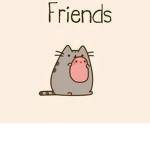 Friend App