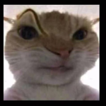 HY!L!E!T