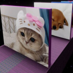 Guess The Animal!🐻