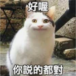 TW_88noob