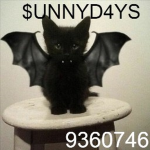 $UNNYD4YS