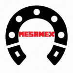 mnx gaymers
