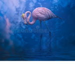 #Queen flamingos
