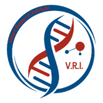 Vident Research Institute